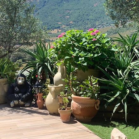 Residence Paradisu Ajaccio Appietto Esterno foto