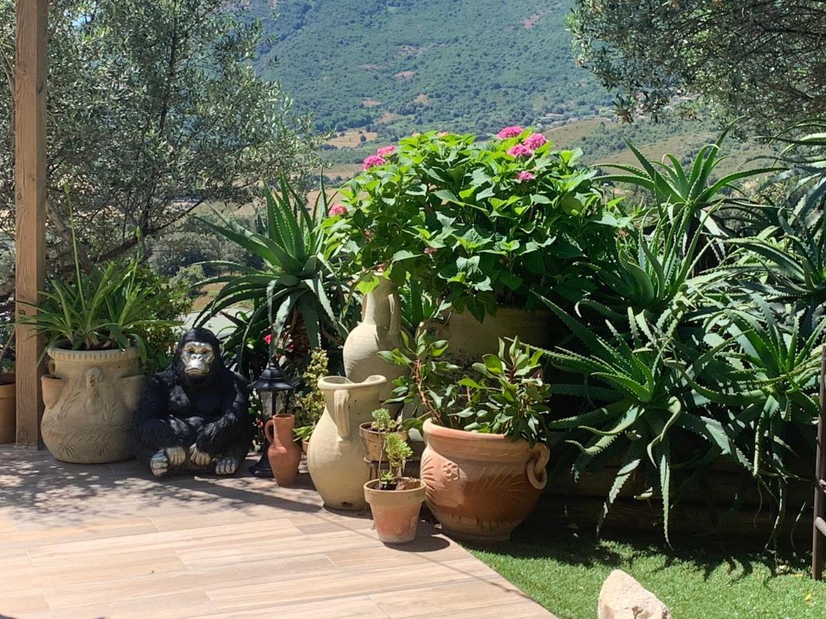 Residence Paradisu Ajaccio Appietto Esterno foto