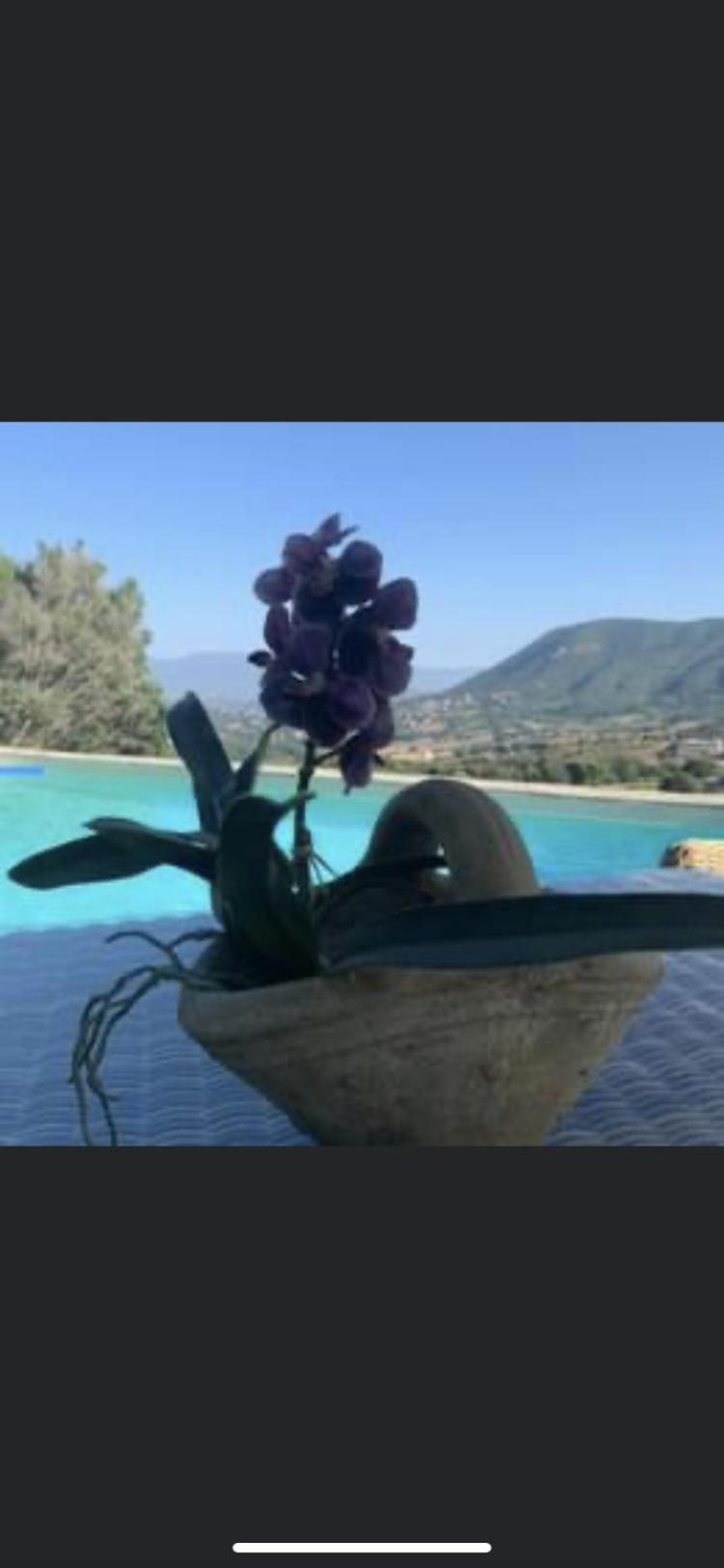 Residence Paradisu Ajaccio Appietto Esterno foto