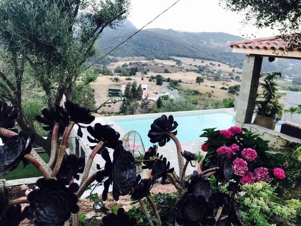 Residence Paradisu Ajaccio Appietto Esterno foto